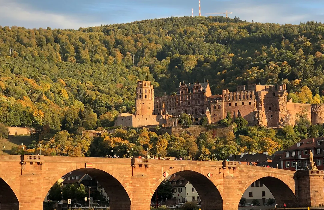 Boardinghotel Heidelberg-1